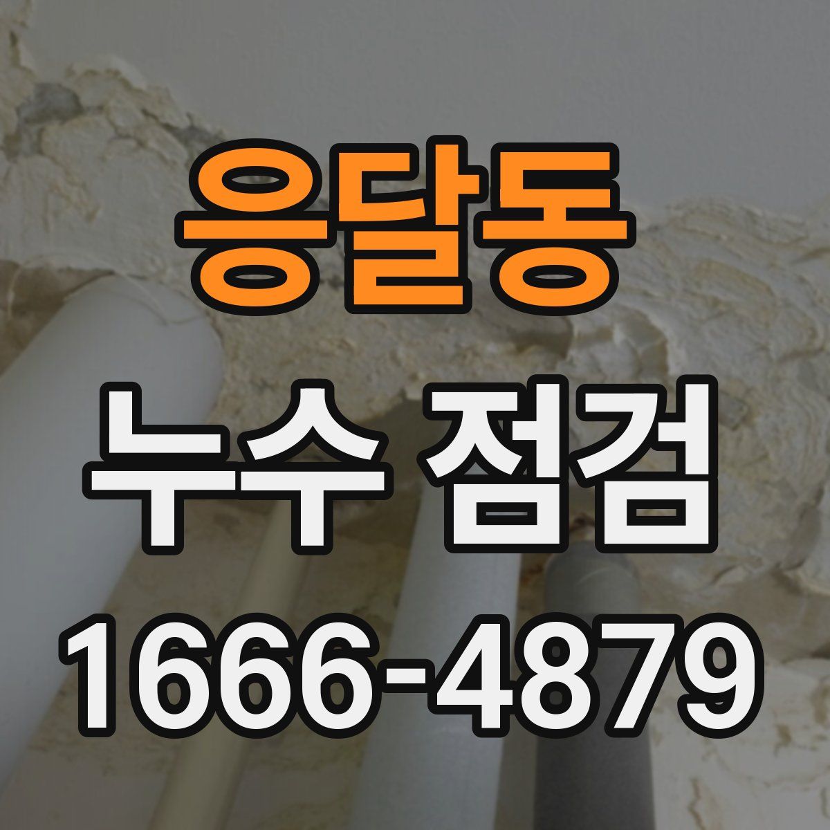 응달동 누수 점검