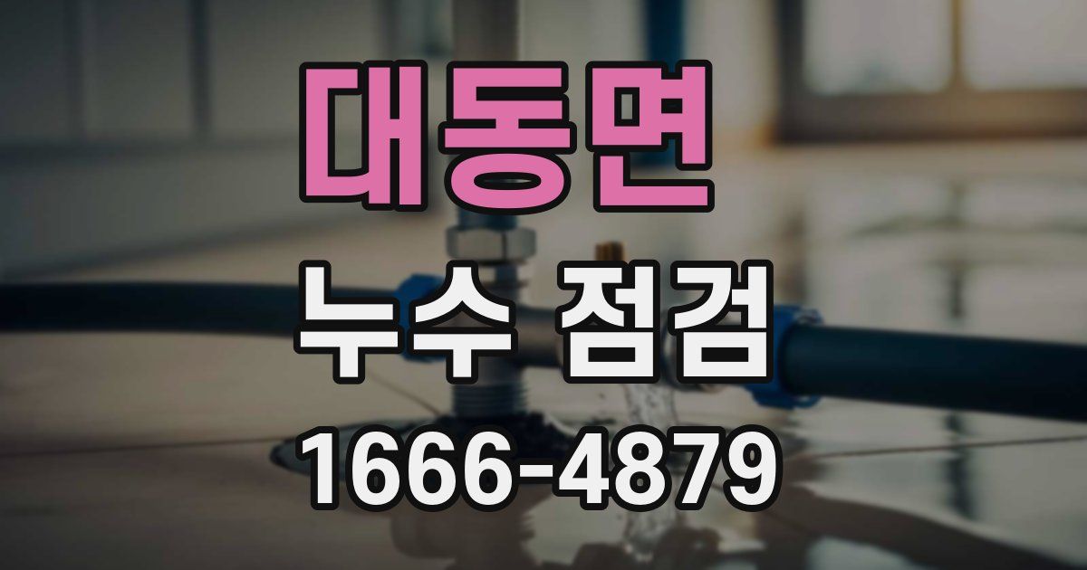 대동면 누수 점검