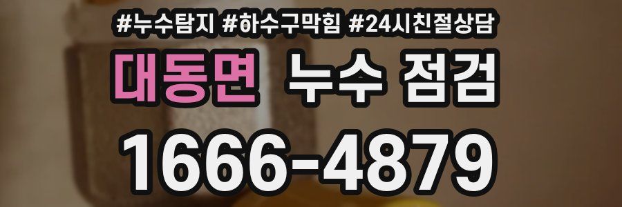 대동면 누수 점검