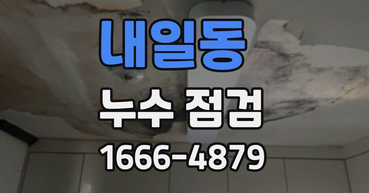 내일동 누수 점검