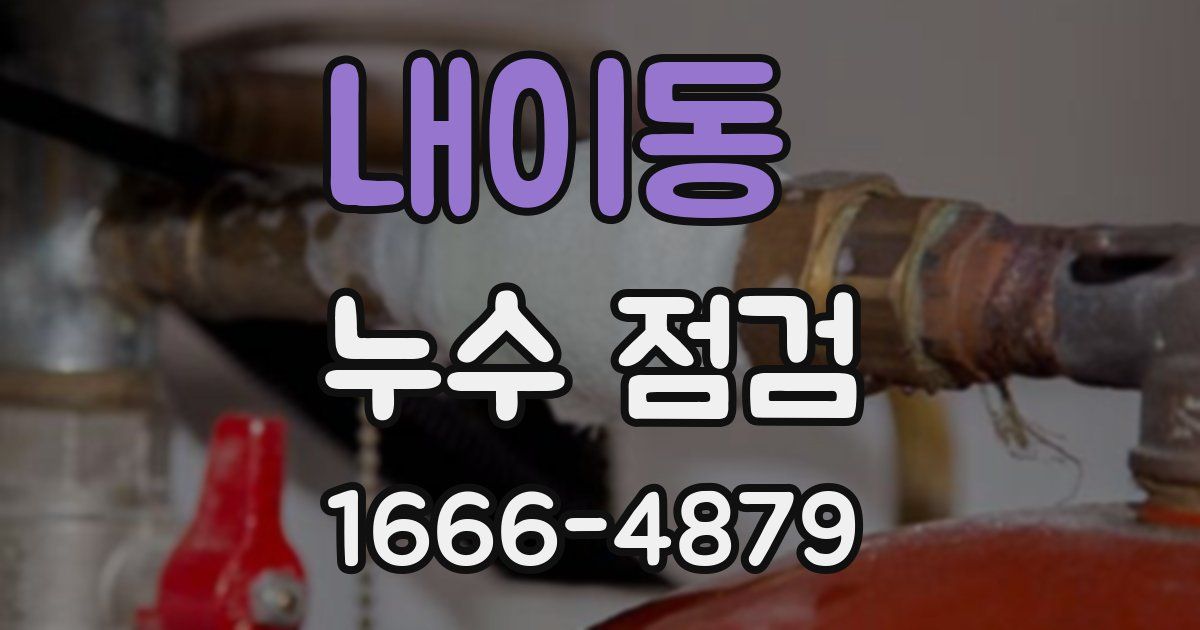 내이동 누수 점검