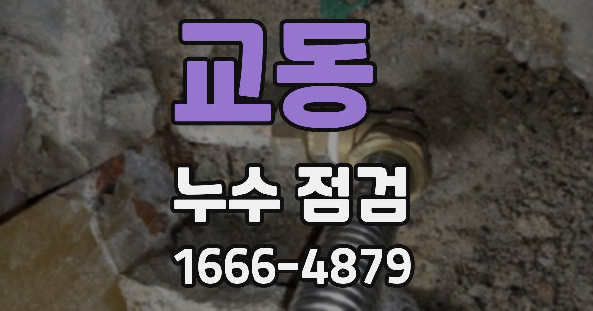 교동 누수 점검