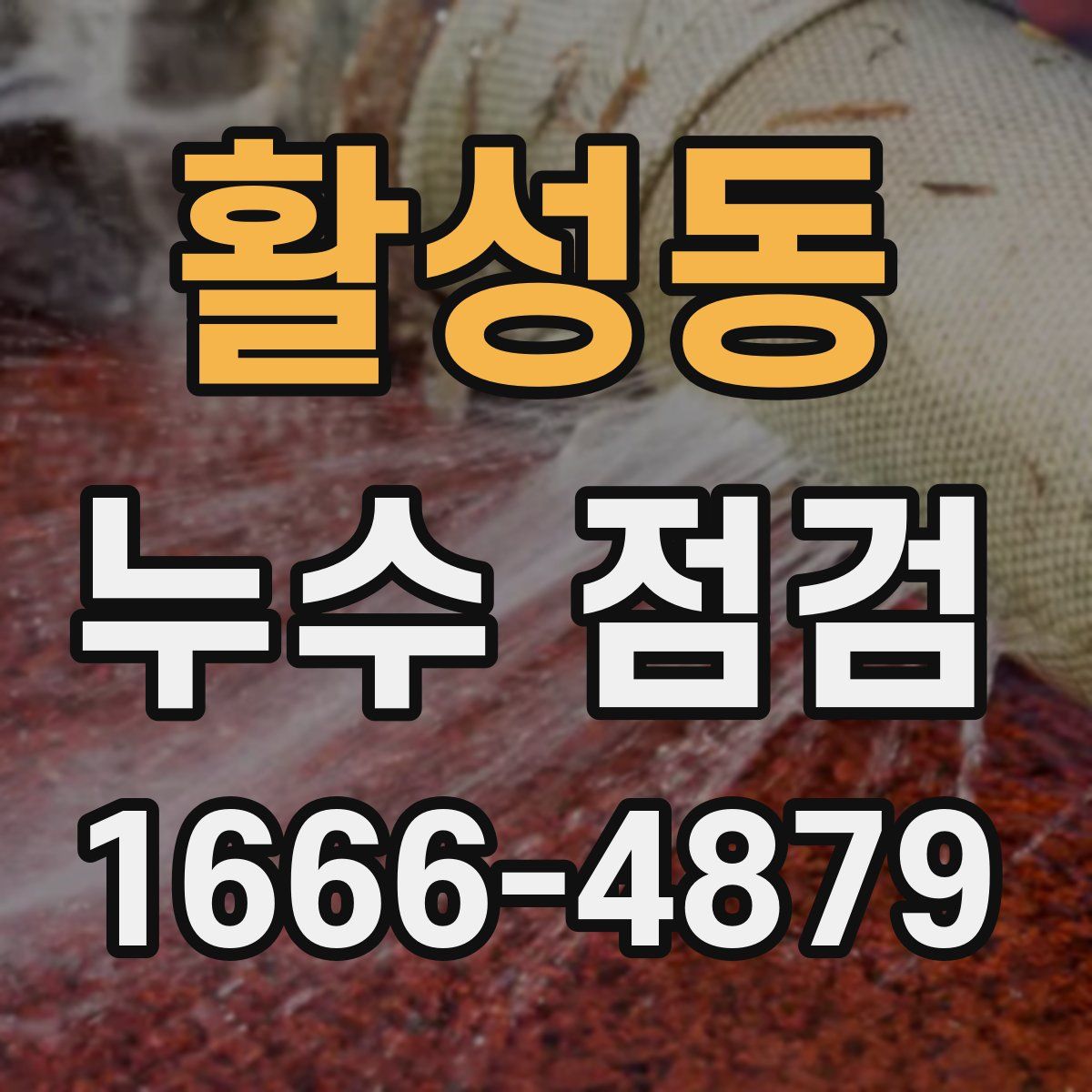 활성동 누수 점검