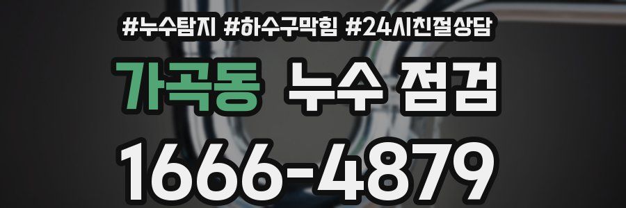 가곡동 누수 점검