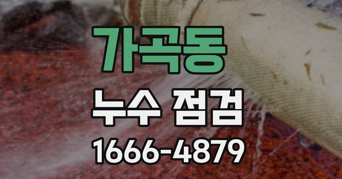 가곡동 누수 점검