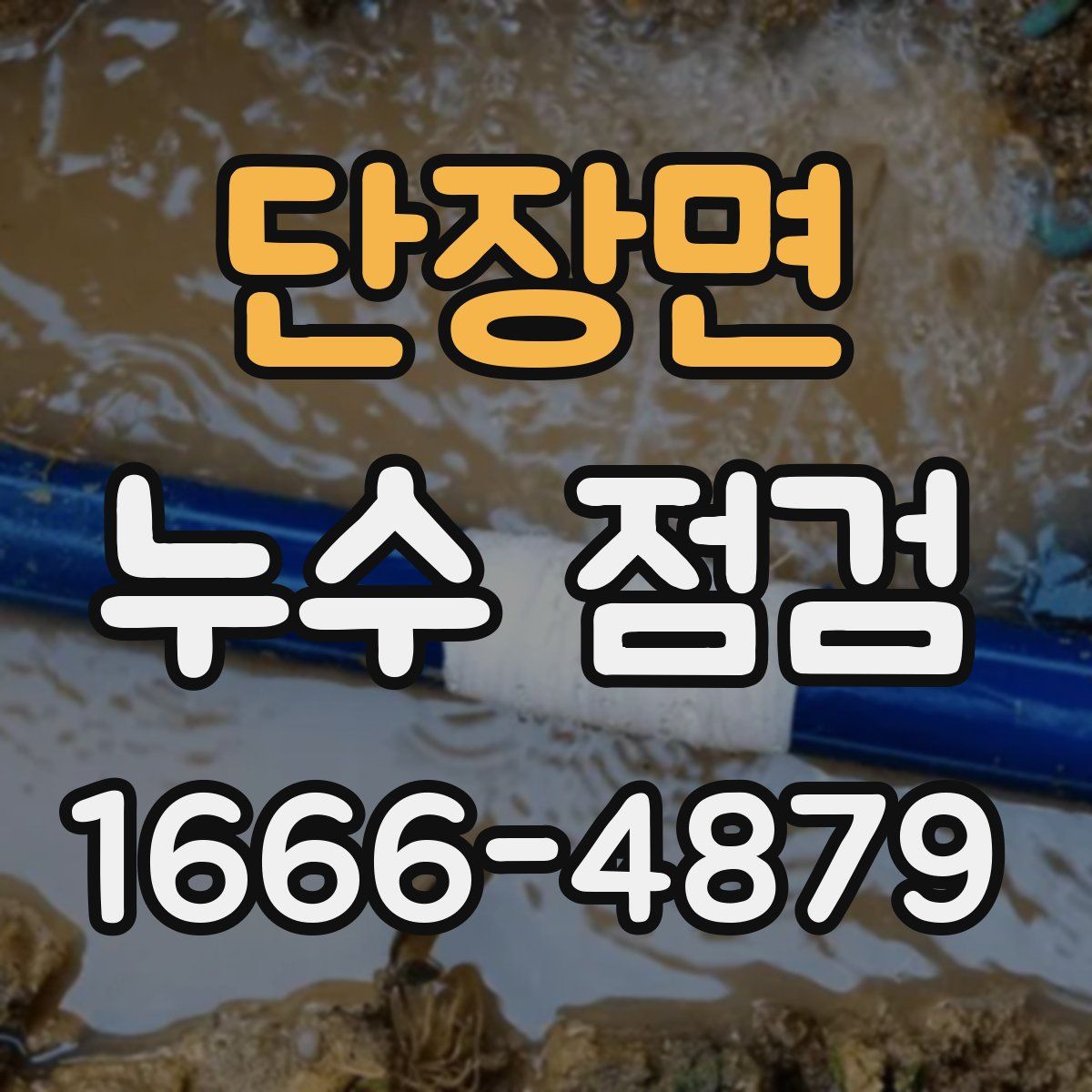 단장면 누수 점검