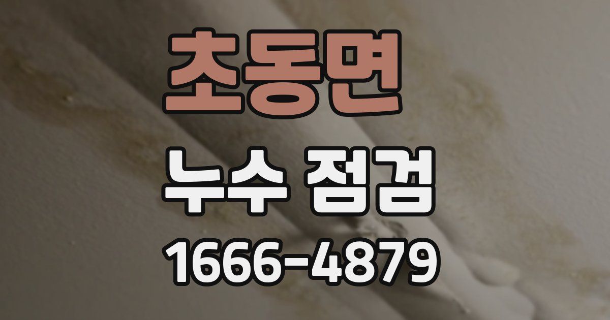 초동면 누수 점검