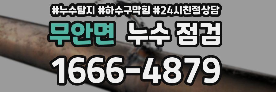 무안면 누수 점검