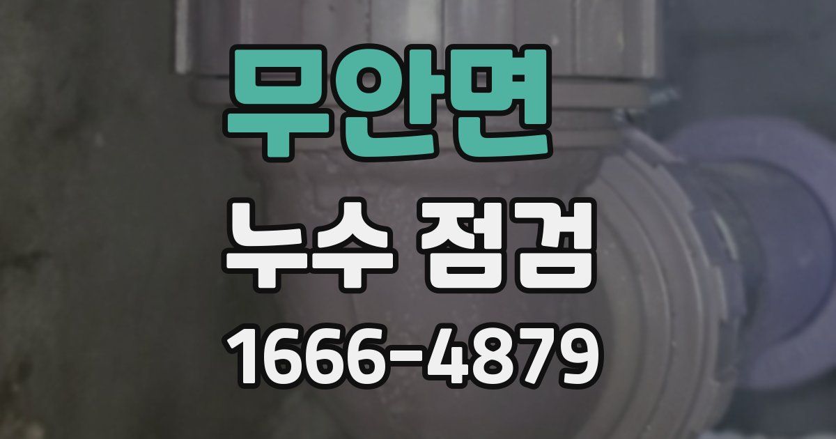 무안면 누수 점검