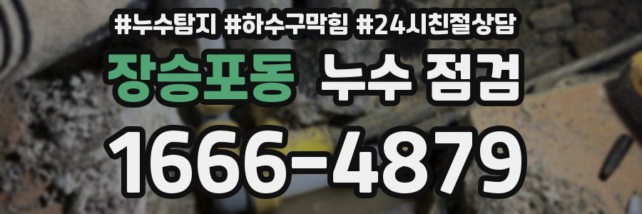 장승포동 누수 점검