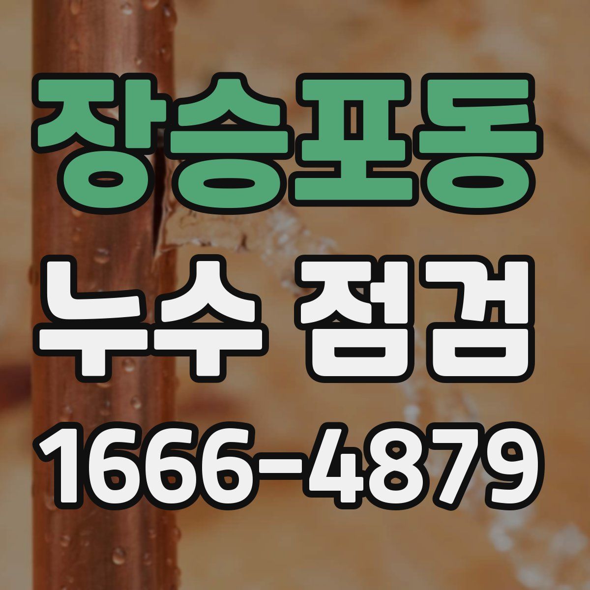 장승포동 누수 점검