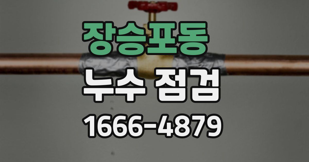 장승포동 누수 점검