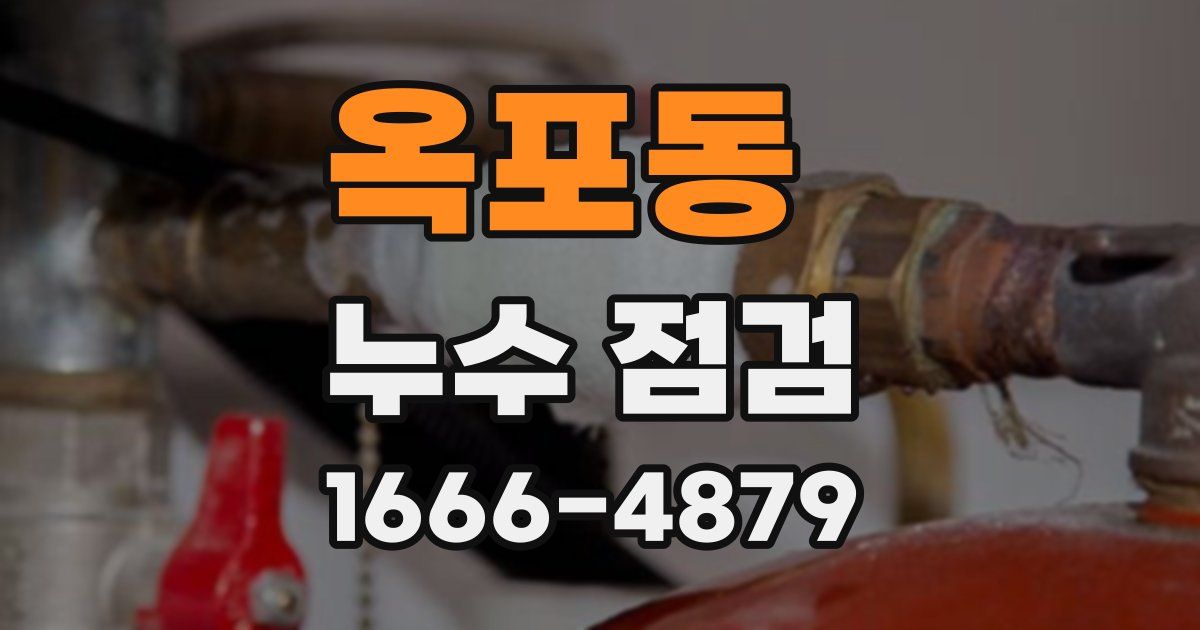 옥포동 누수 점검