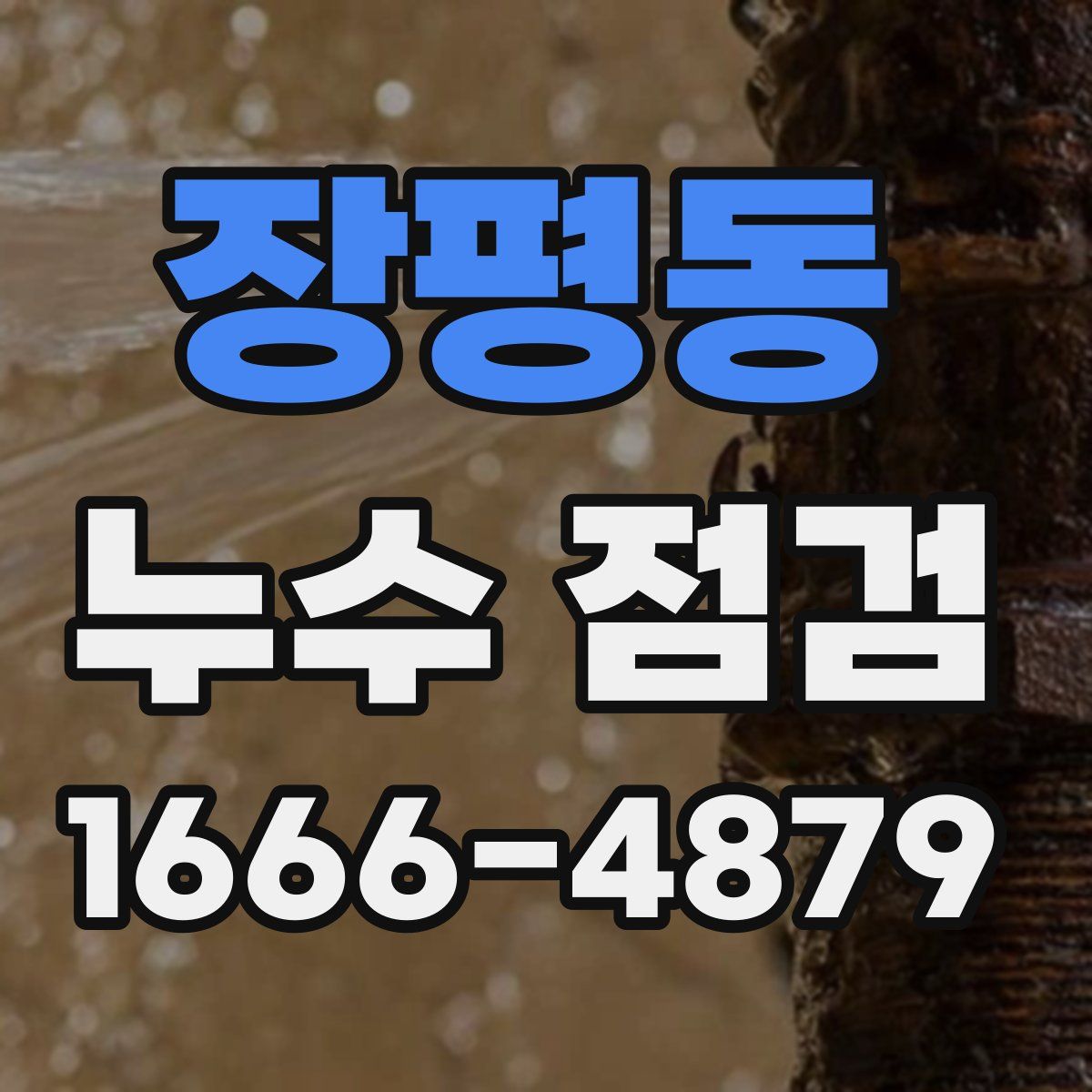 장평동 누수 점검