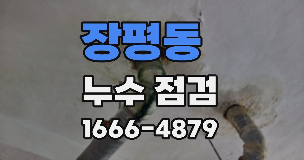 장평동 누수 점검