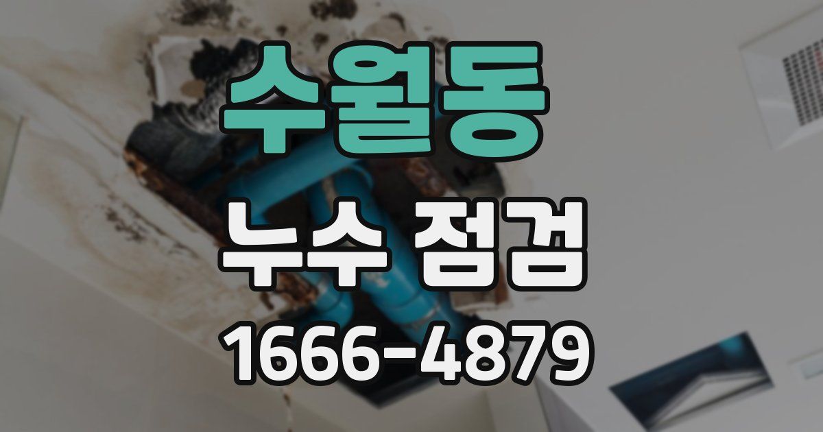 수월동 누수 점검