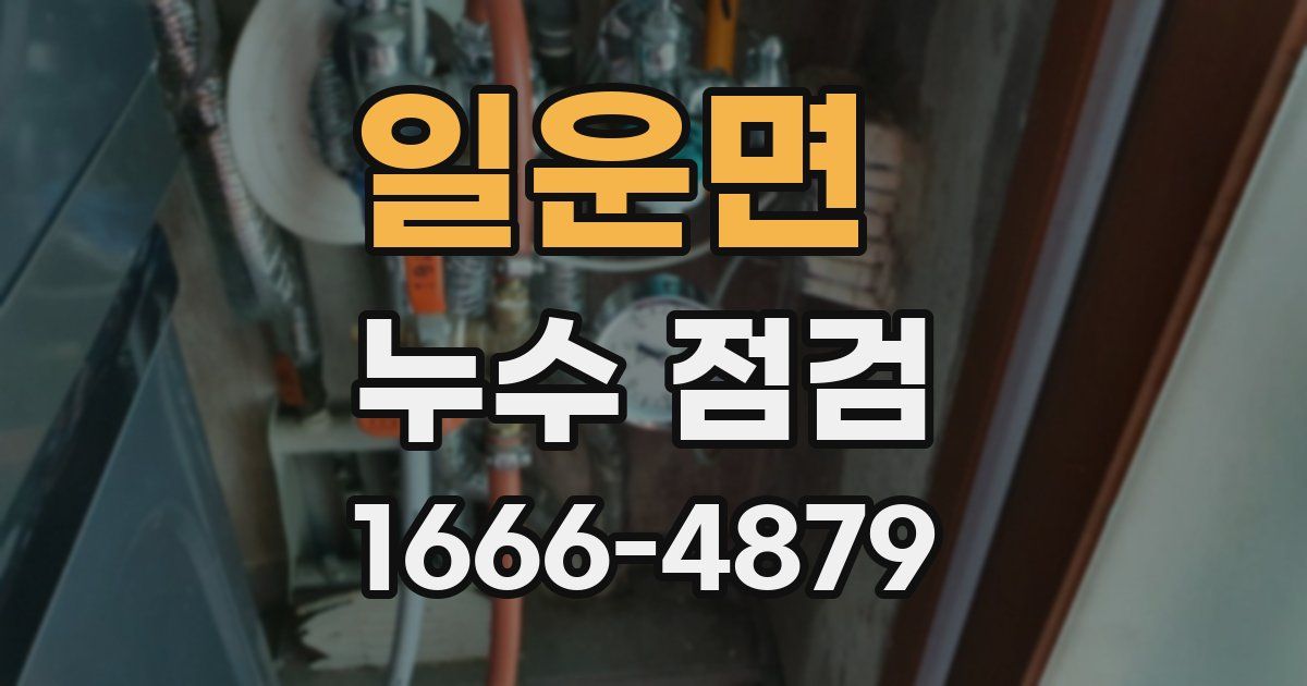 일운면 누수 점검