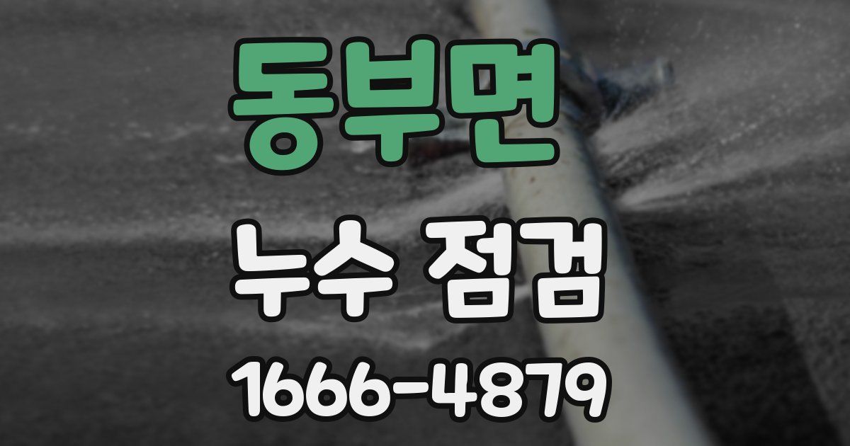 동부면 누수 점검