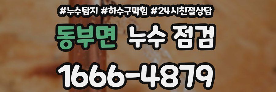 동부면 누수 점검