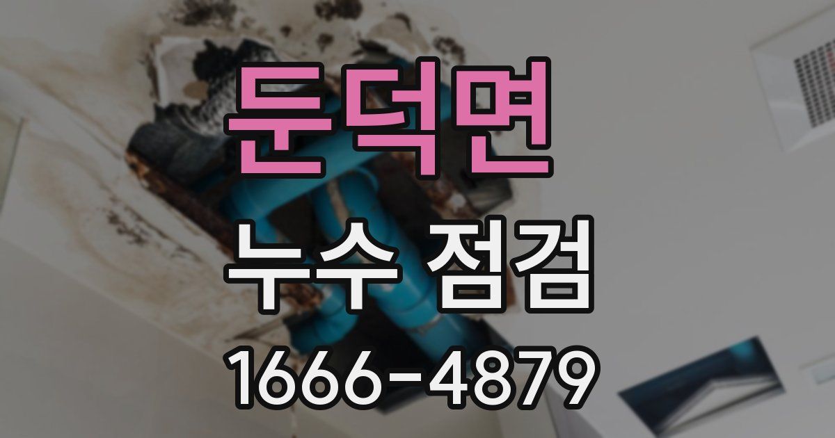 둔덕면 누수 점검