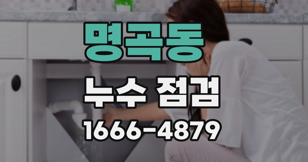 명곡동 누수 점검