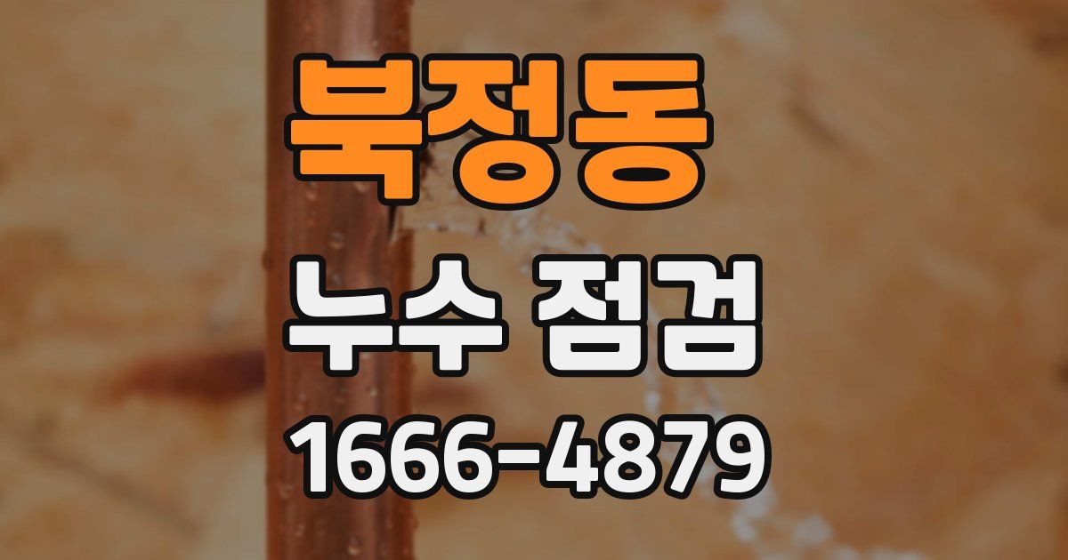북정동 누수 점검