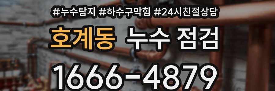 호계동 누수 점검