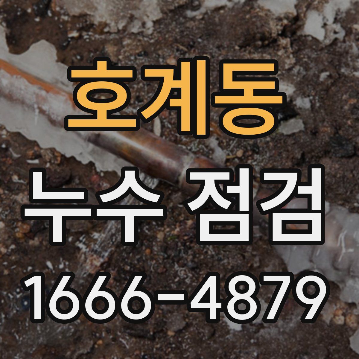 호계동 누수 점검