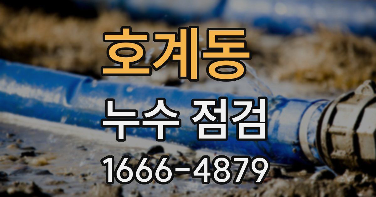호계동 누수 점검