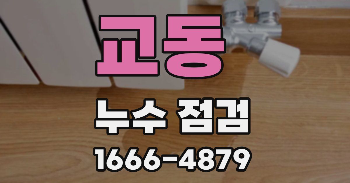 교동 누수 점검