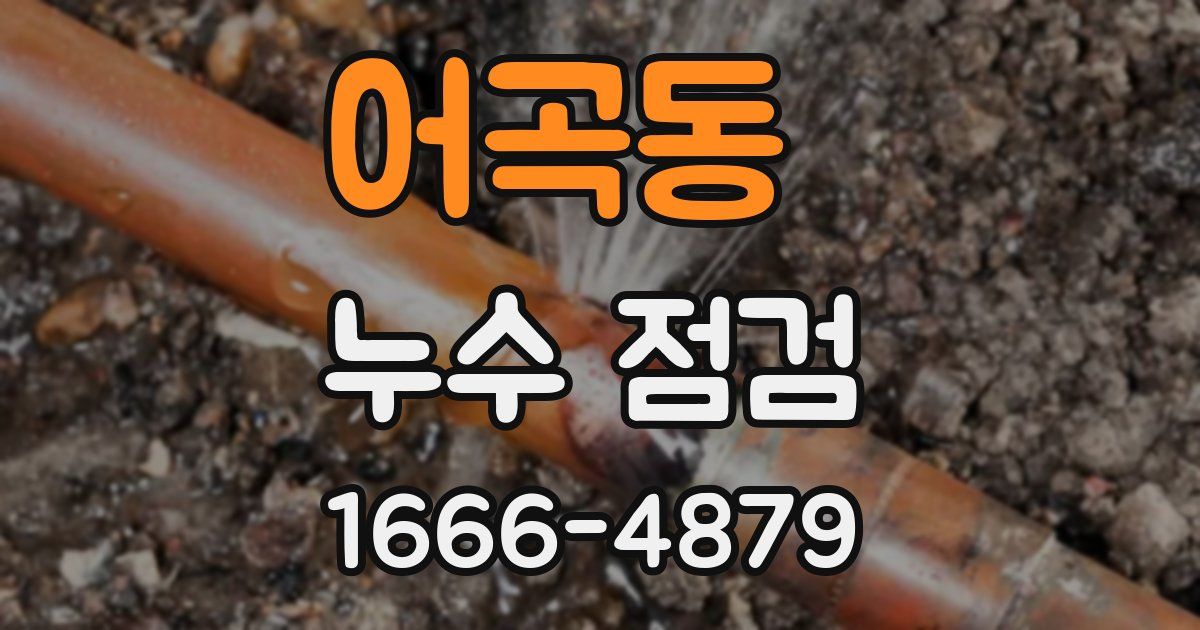 어곡동 누수 점검