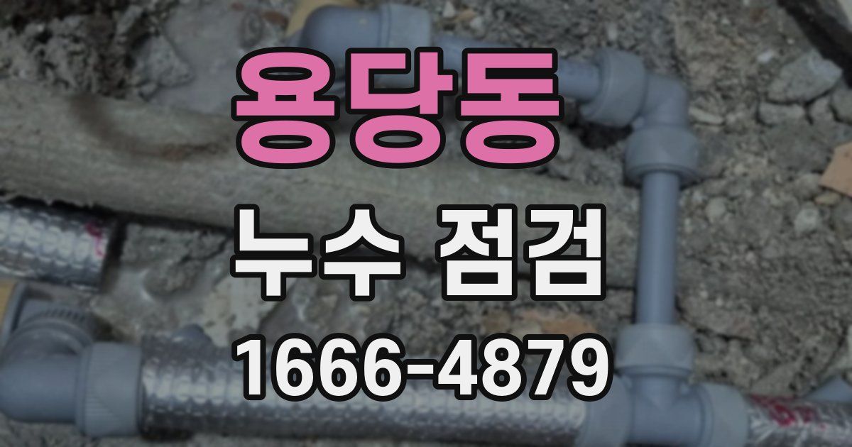 용당동 누수 점검