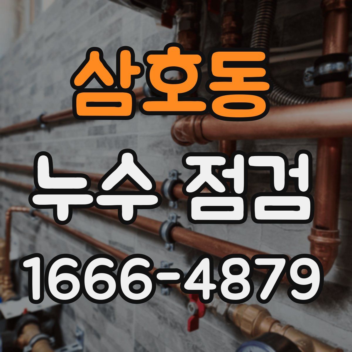 삼호동 누수 점검