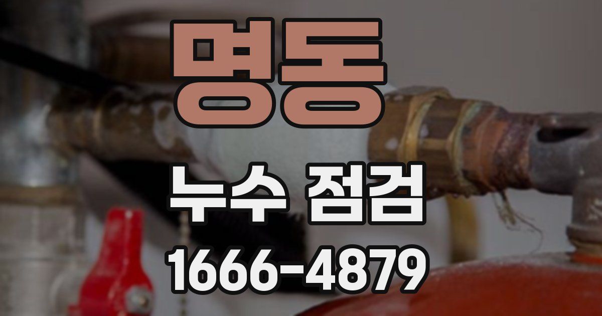 명동 누수 점검