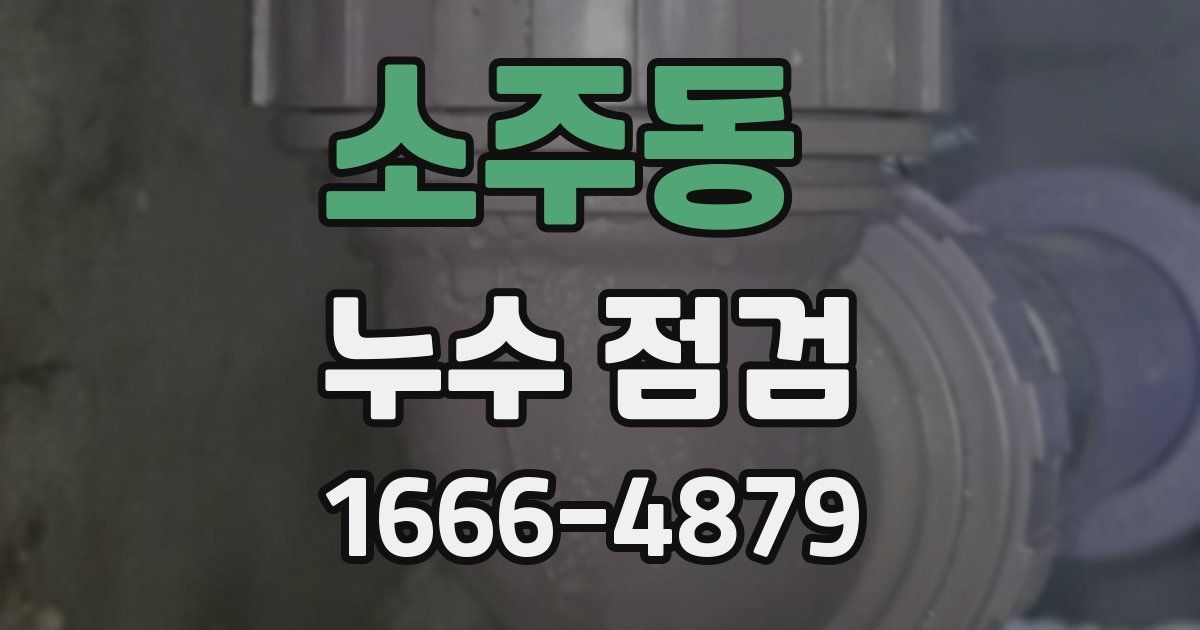 소주동 누수 점검