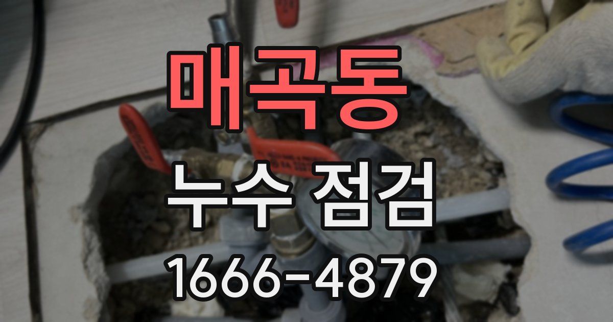매곡동 누수 점검