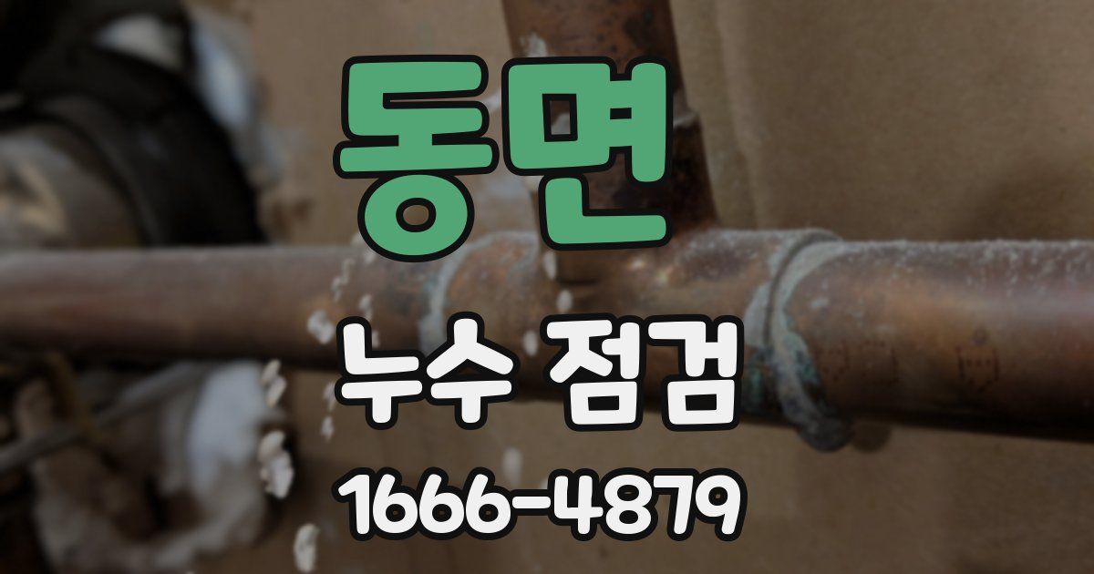 동면 누수 점검