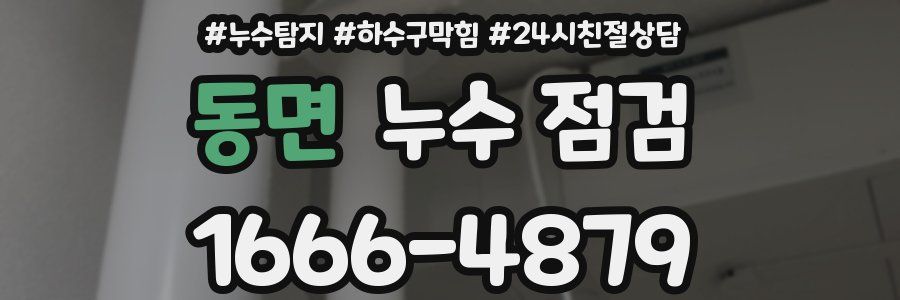 동면 누수 점검