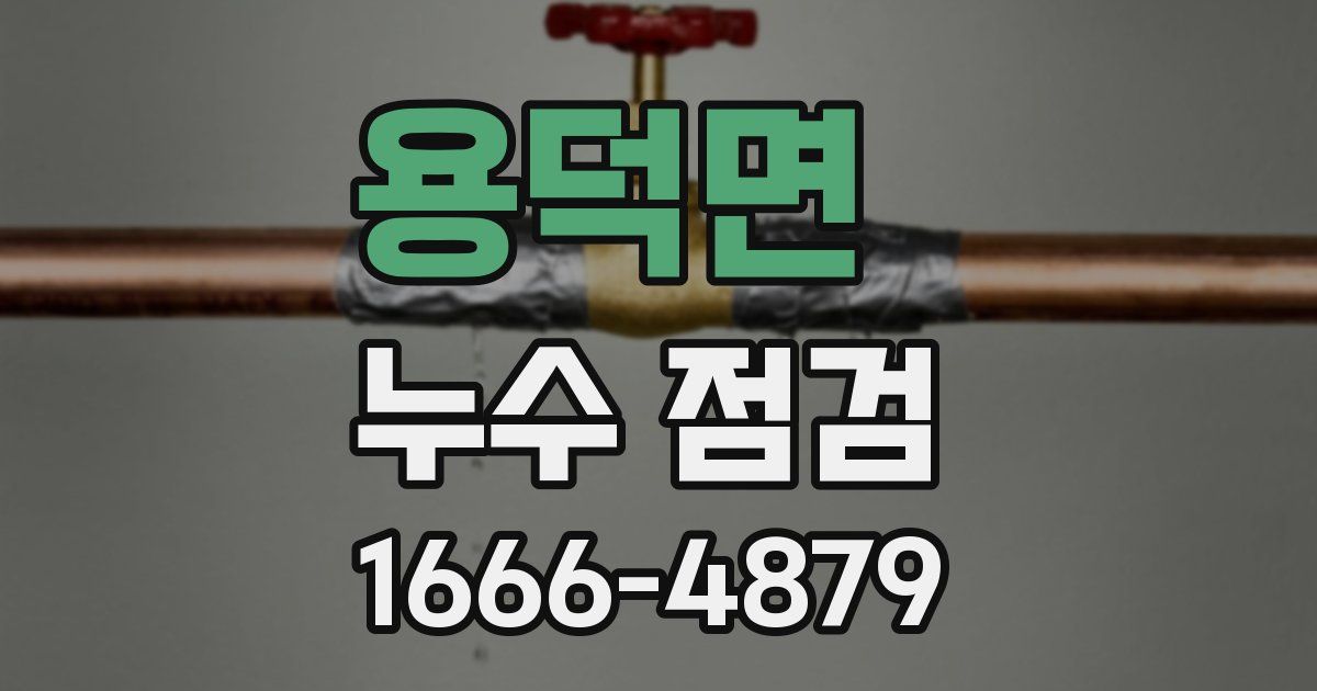 용덕면 누수 점검