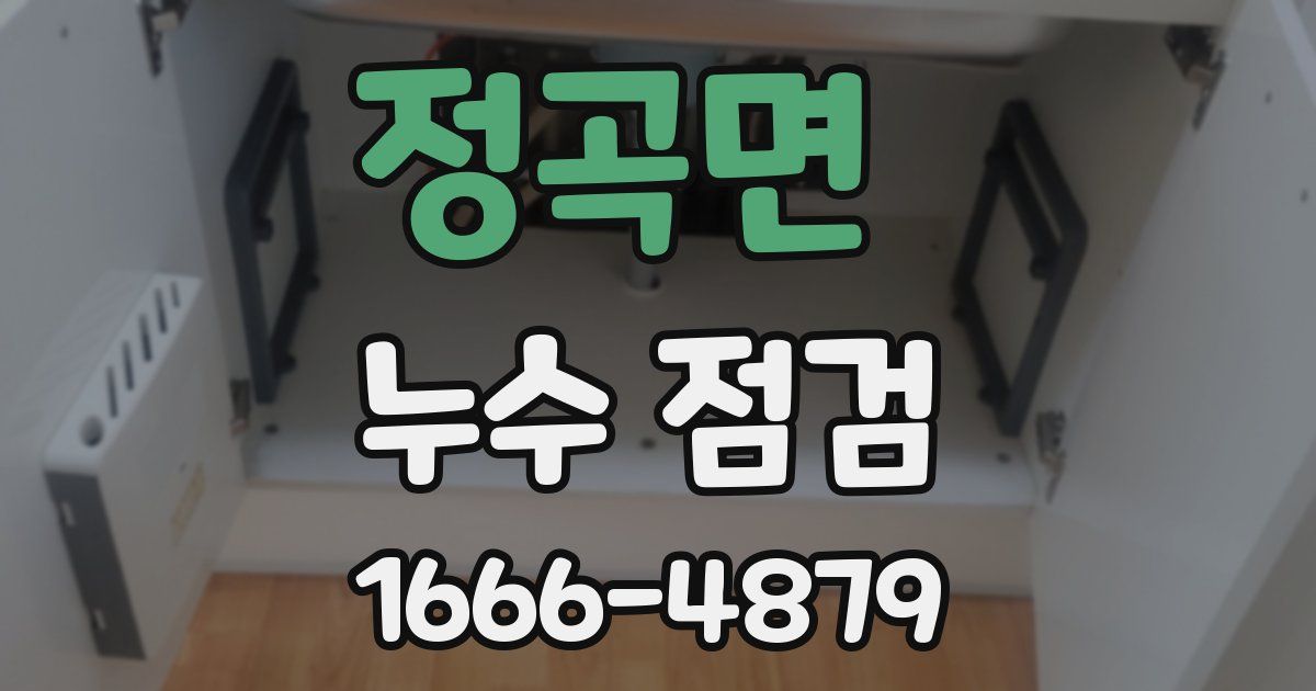 정곡면 누수 점검