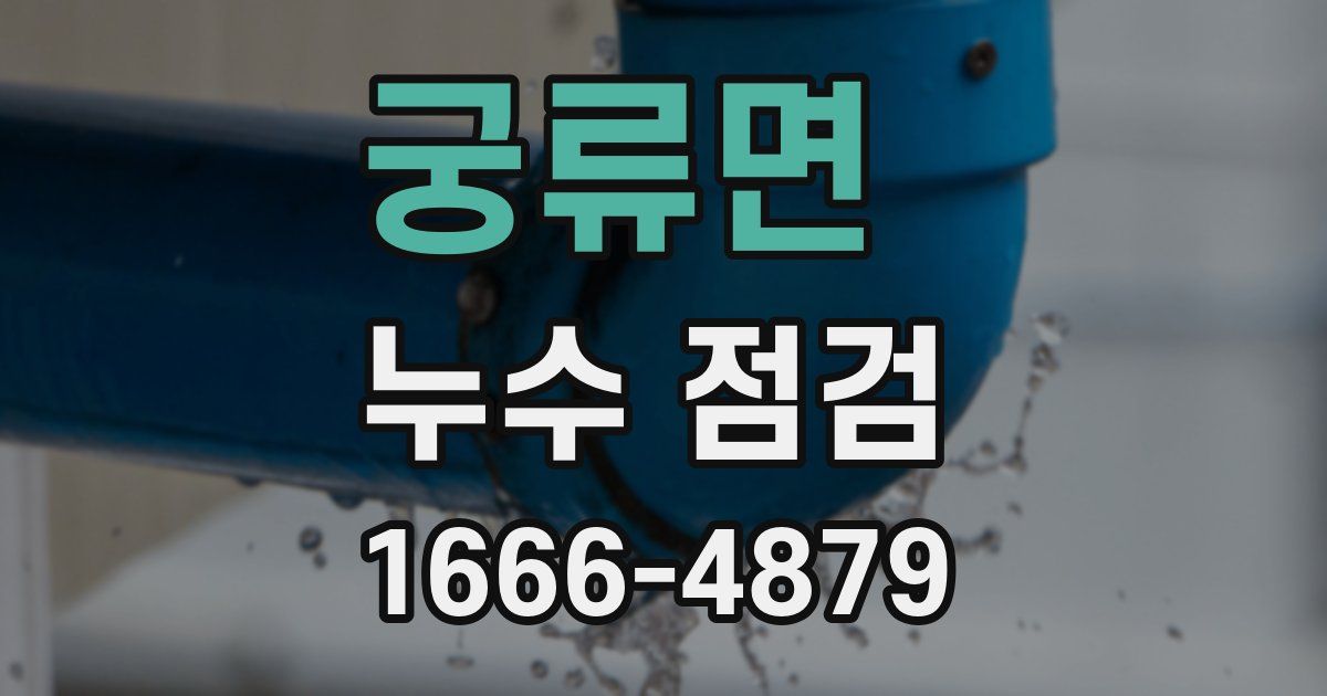 궁류면 누수 점검