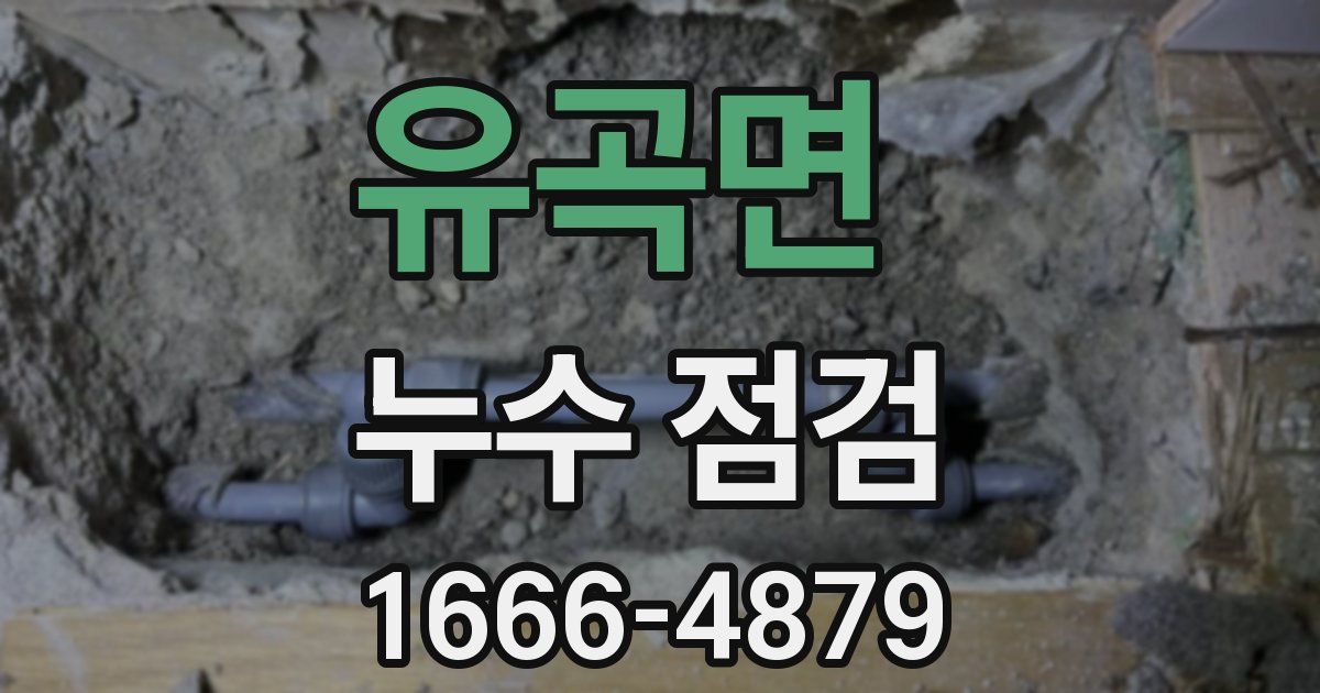 유곡면 누수 점검