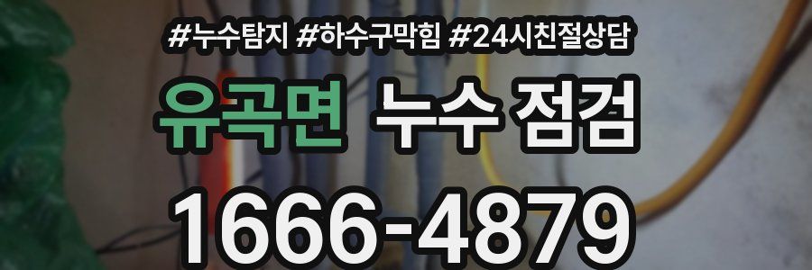 유곡면 누수 점검