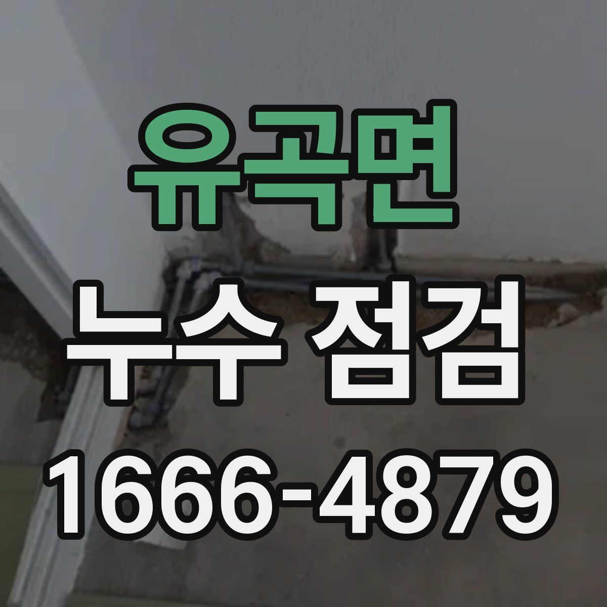 유곡면 누수 점검