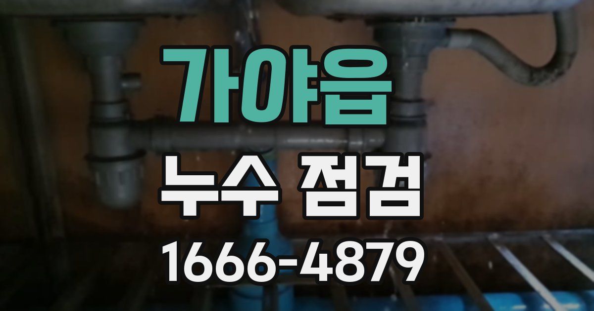 가야읍 누수 점검