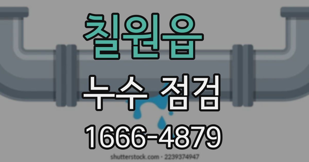 칠원읍 누수 점검