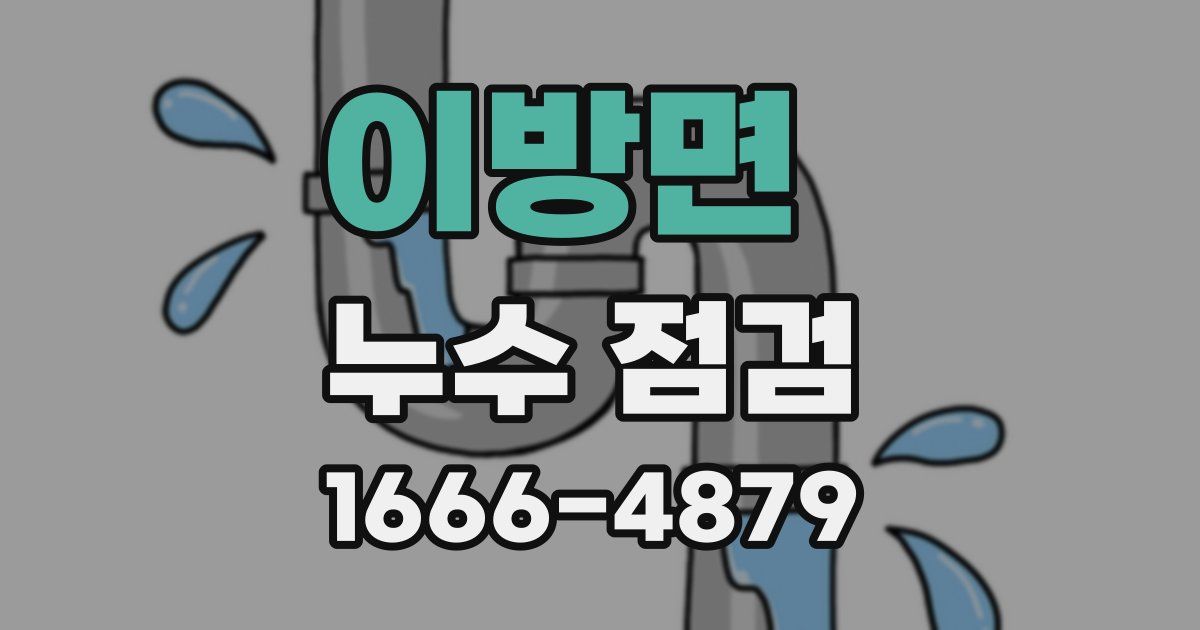 이방면 누수 점검