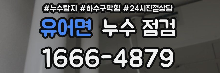 유어면 누수 점검