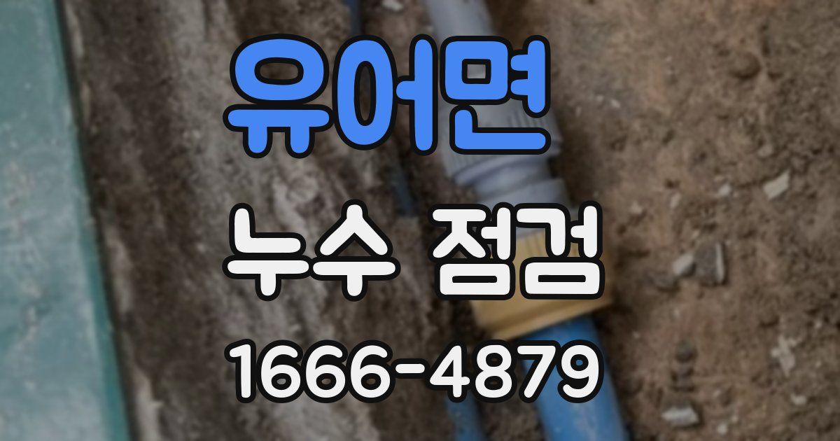 유어면 누수 점검