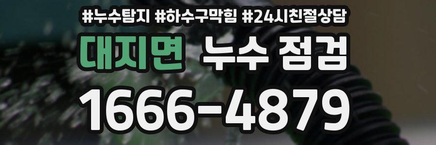 대지면 누수 점검